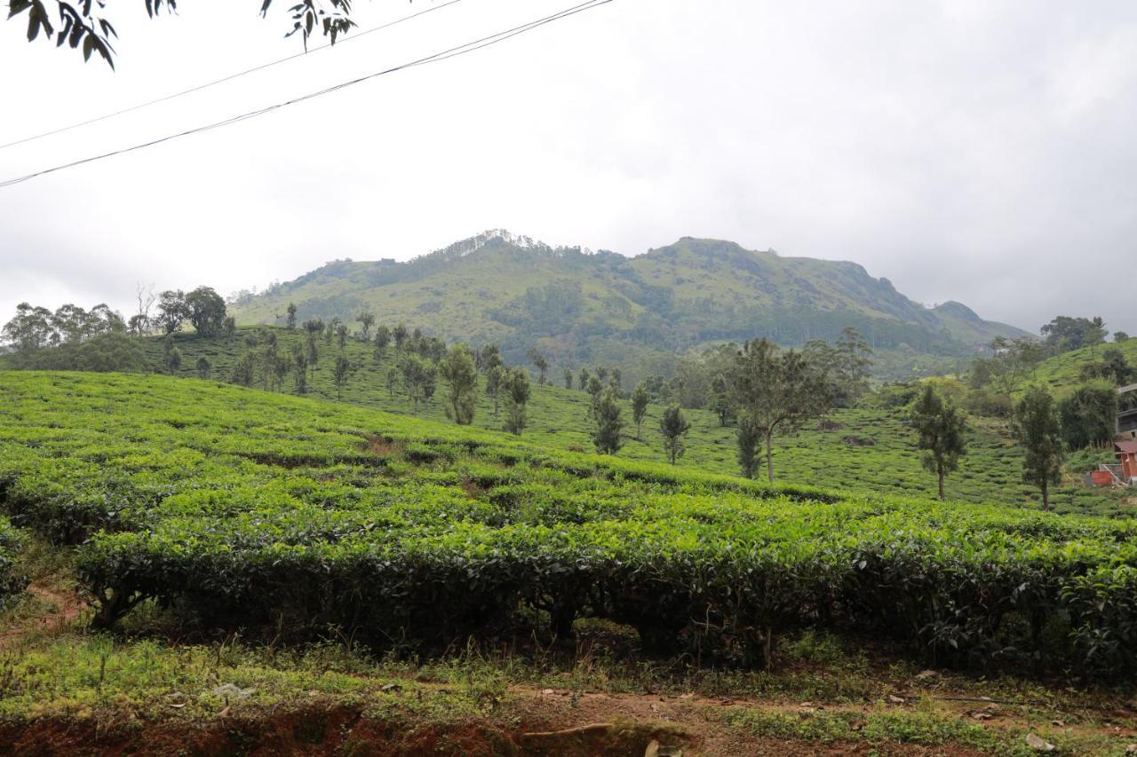 Peace Valley Home Stay Munnar Kültér fotó